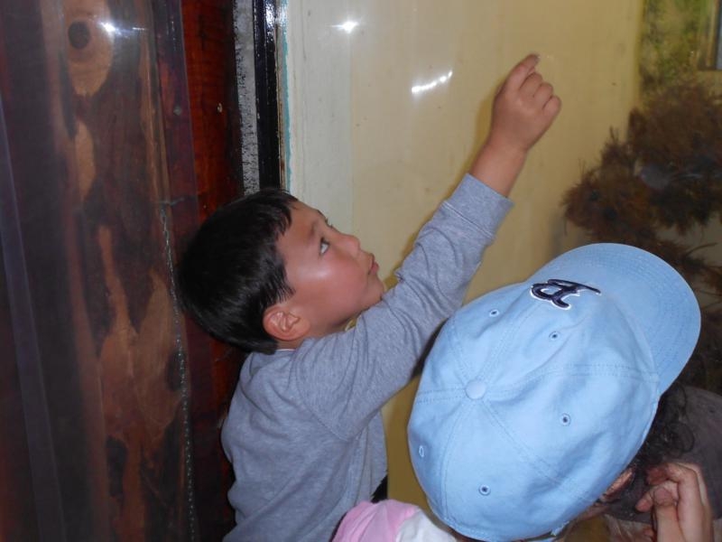 Village Camps International Summer Camp VDC Geneva 2016-08-12 https://www.villagecamps.com/journals_admin/images/567-34-DSCN0813_800x600.jpg