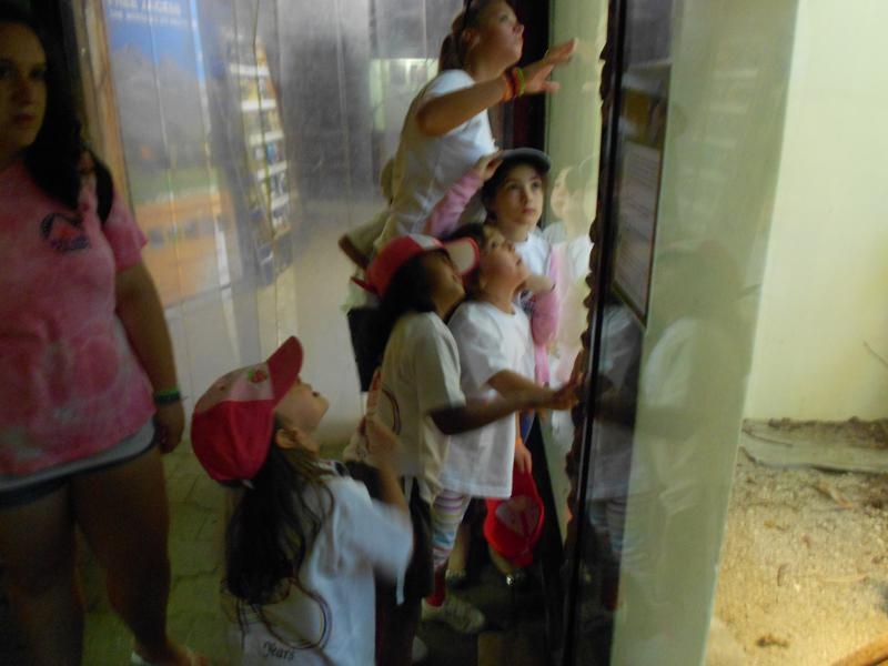 Village Camps International Summer Camp VDC Geneva 2016-08-12 https://www.villagecamps.com/journals_admin/images/567-34-DSCN0814_800x600.jpg Village Camps International Summer Camp VDC Geneva 2016-08-12 https://www.villagecamps.com/journals_admin/images/567-34-DSCN0814_800x600.jpg