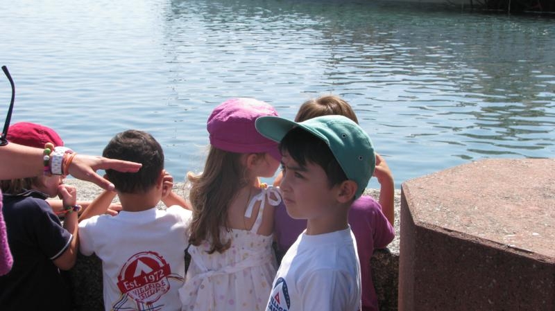 Village Camps International Summer Camp VDC Geneva 2016-08-12 https://www.villagecamps.com/journals_admin/images/567-34-IMG_7945_800x449.jpg Village Camps International Summer Camp VDC Geneva 2016-08-12 https://www.villagecamps.com/journals_admin/images/567-34-IMG_7945_800x449.jpg