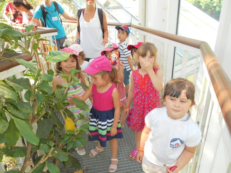 Village Camps International Summer Camp VDC Geneva 2016-08-12 https://www.villagecamps.com/journals_admin/images/569-34-DSCN0848_800x600.jpg
