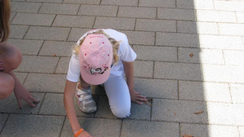 Village Camps International Summer Camp VDC Geneva 2016-08-12 https://www.villagecamps.com/journals_admin/images/577--IMG_9731_800x449.jpg