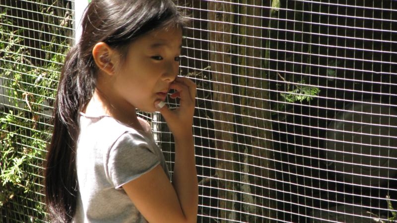 Village Camps International Summer Camp VDC Geneva 2016-08-12 https://www.villagecamps.com/journals_admin/images/579--IMG_9904_800x449.jpg