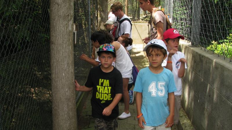 Village Camps International Summer Camp VDC Geneva 2016-08-12 https://www.villagecamps.com/journals_admin/images/579--IMG_9920_800x449.jpg Village Camps International Summer Camp VDC Geneva 2016-08-12 https://www.villagecamps.com/journals_admin/images/579--IMG_9920_800x449.jpg