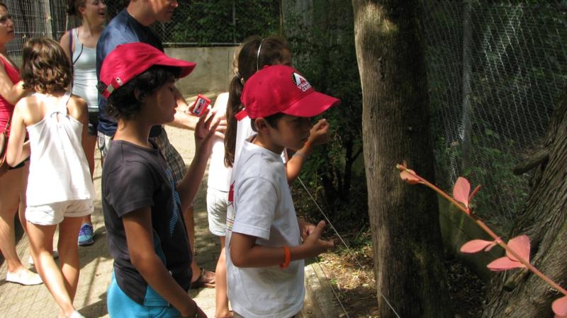 Village Camps International Summer Camp VDC Geneva 2016-08-12 https://www.villagecamps.com/journals_admin/images/579--IMG_9923_800x449.jpg