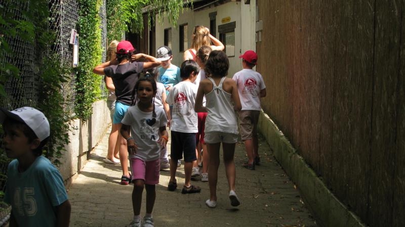 Village Camps International Summer Camp VDC Geneva 2016-08-12 https://www.villagecamps.com/journals_admin/images/579--IMG_9926_800x449.jpg Village Camps International Summer Camp VDC Geneva 2016-08-12 https://www.villagecamps.com/journals_admin/images/579--IMG_9926_800x449.jpg
