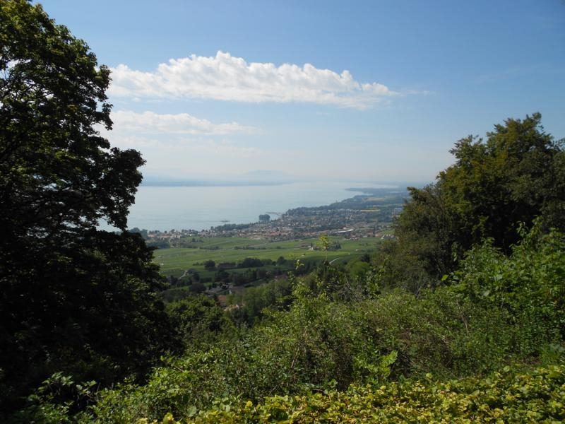 Village Camps International Summer Camp VDC Geneva 2016-08-12 https://www.villagecamps.com/journals_admin/images/583--DSCN1050_800x600.jpg