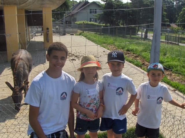 Village Camps International Summer Camp VDC Geneva 2016-08-12 https://www.villagecamps.com/journals_admin/images/797-34-HPIM7517.jpg Village Camps International Summer Camp VDC Geneva 2016-08-12 https://www.villagecamps.com/journals_admin/images/797-34-HPIM7517.jpg