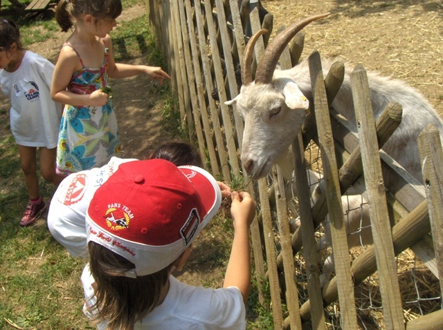 Village Camps International Summer Camp VDC Geneva 2016-08-12 https://www.villagecamps.com/journals_admin/images/802-34-HPIM7655.jpg Village Camps International Summer Camp VDC Geneva 2016-08-12 https://www.villagecamps.com/journals_admin/images/802-34-HPIM7655.jpg