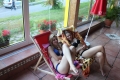Village Camps International Summer Camp LTC, Leysin 2014-07-16