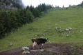 Village Camps International Summer Camp LTC, Leysin 2014-07-23
