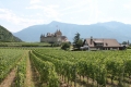 Village Camps International Summer Camp LTC, Leysin 2015-07-13