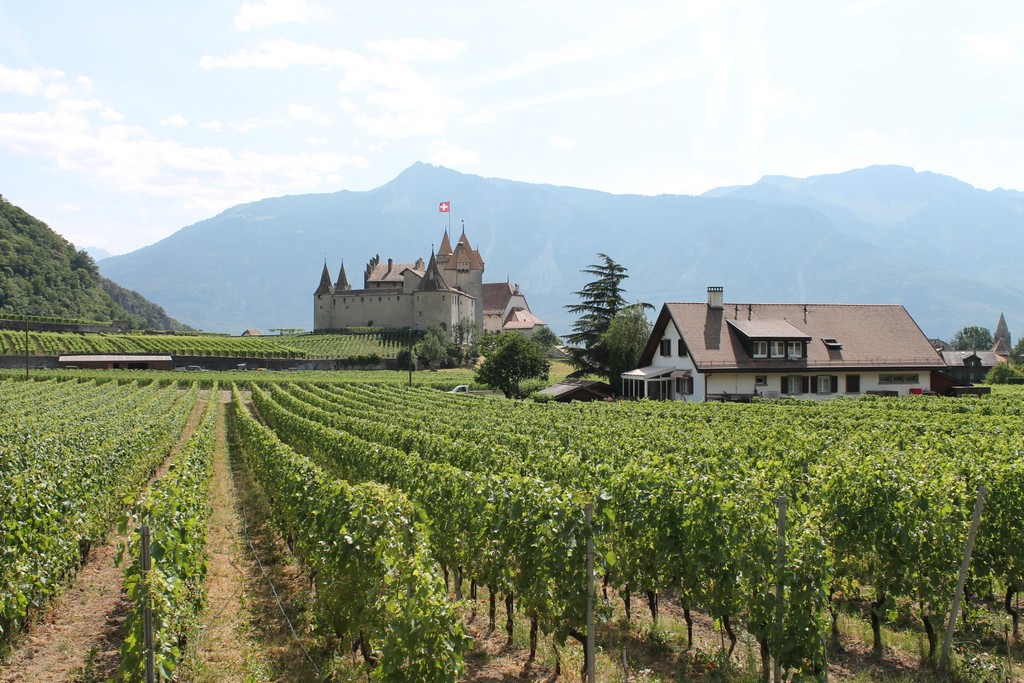 Village Camps International Summer Camp LTC, Leysin 2024-07-22 https://www.villagecamps.com/journals_admin/images/1341-8104-IMG_7842.jpg