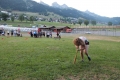 Village Camps International Summer Camp LTC, Leysin 2015-07-13