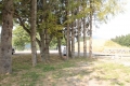 Village Camps International Summer Camp LTC, Leysin 2015-07-19