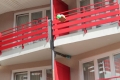 Village Camps International Summer Camp LTC, Leysin 2015-07-23