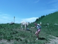 Village Camps International Summer Camp LTC, Leysin 2010-07-12