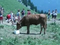 Village Camps International Summer Camp LTC, Leysin 2010-07-12