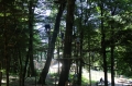 Village Camps International Summer Camp LTC, Leysin 2016-07-18