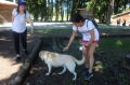 Village Camps International Summer Camp LTC, Leysin 2016-07-20