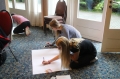Village Camps International Summer Camp LTC, Leysin 2016-07-22
