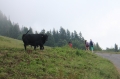 Village Camps International Summer Camp LTC, Leysin 2016-07-25