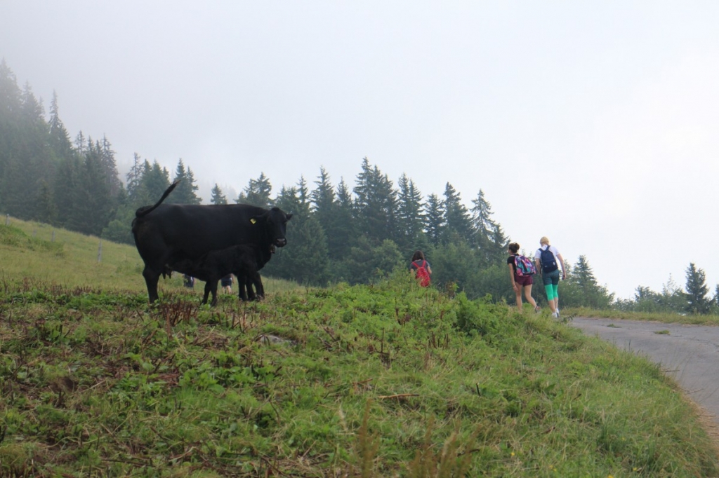 Village Camps International Summer Camp LTC, Leysin 2024-07-22 https://www.villagecamps.com/journals_admin/images/1614-0879-IMG_7007.jpg