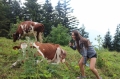 Village Camps International Summer Camp LTC, Leysin 2016-07-25