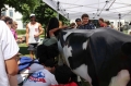 Village Camps International Summer Camp LTC, Leysin 2016-07-29