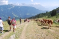 Village Camps International Summer Camp LTC, Leysin 2010-07-19