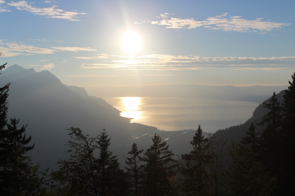 Village Camps International Summer Camp LTC, Leysin 2024-07-22 https://www.villagecamps.com/journals_admin/images/1861-8271-IMG_5649.jpg Village Camps International Summer Camp LTC, Leysin 2024-07-22 https://www.villagecamps.com/journals_admin/images/1861-8271-IMG_5649.jpg