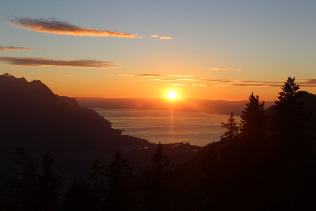 Village Camps International Summer Camp LTC, Leysin 2024-07-22 https://www.villagecamps.com/journals_admin/images/1861-8397-IMG_5718.jpg Village Camps International Summer Camp LTC, Leysin 2024-07-22 https://www.villagecamps.com/journals_admin/images/1861-8397-IMG_5718.jpg