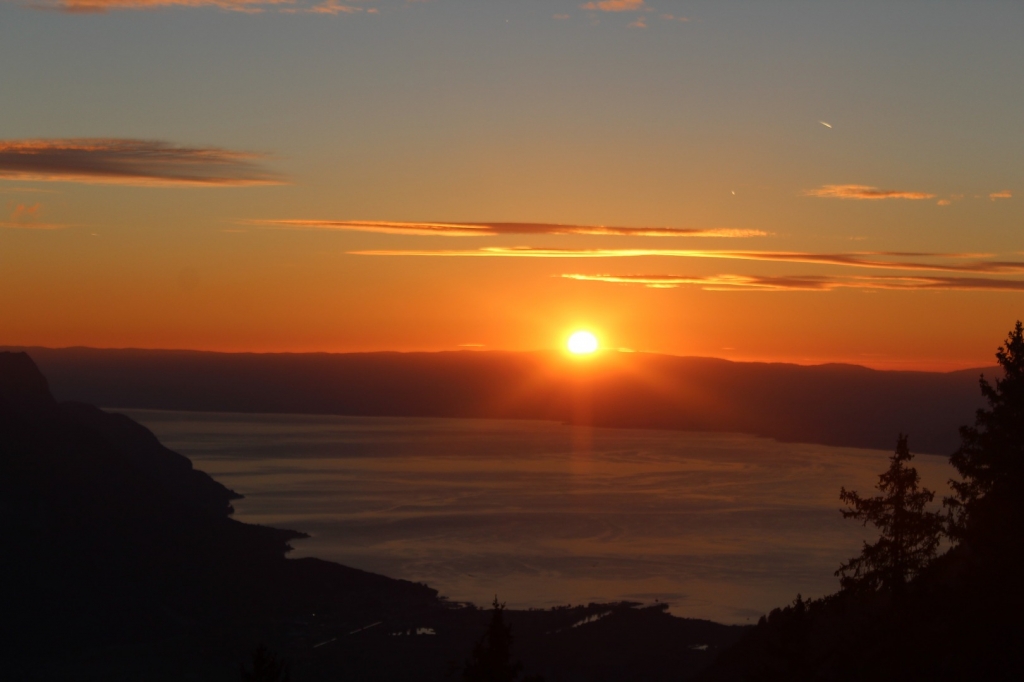 Village Camps International Summer Camp LTC, Leysin 2024-07-22 https://www.villagecamps.com/journals_admin/images/1861-8403-IMG_5721.jpg