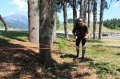 Village Camps International Summer Camp LTC, Leysin 2018-07-18