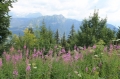 Village Camps International Summer Camp LTC, Leysin 2018-07-23