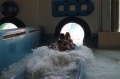 Village Camps International Summer Camp LTC, Leysin 2018-07-27