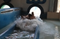 Village Camps International Summer Camp LTC, Leysin 2018-07-27