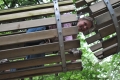 Village Camps International Summer Camp LTC, Leysin 2019-07-15