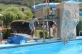 Village Camps International Summer Camp LTC, Leysin 2023-07-23