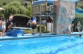 Village Camps International Summer Camp LTC, Leysin 2023-07-23