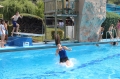 Village Camps International Summer Camp LTC, Leysin 2023-07-23