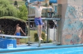 Village Camps International Summer Camp LTC, Leysin 2023-07-23