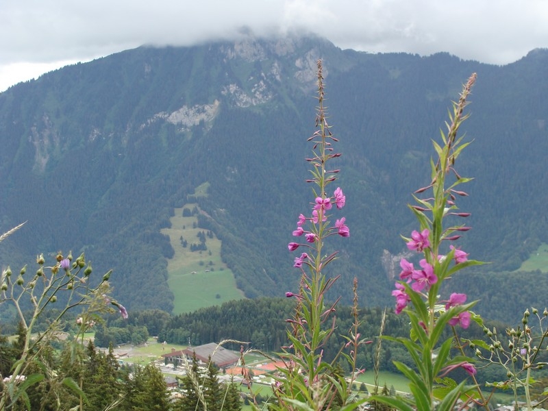 Village Camps International Summer Camp LTC, Leysin 2024-07-22 https://www.villagecamps.com/journals_admin/images/322-5-DSC02212.jpg Village Camps International Summer Camp LTC, Leysin 2024-07-22 https://www.villagecamps.com/journals_admin/images/322-5-DSC02212.jpg