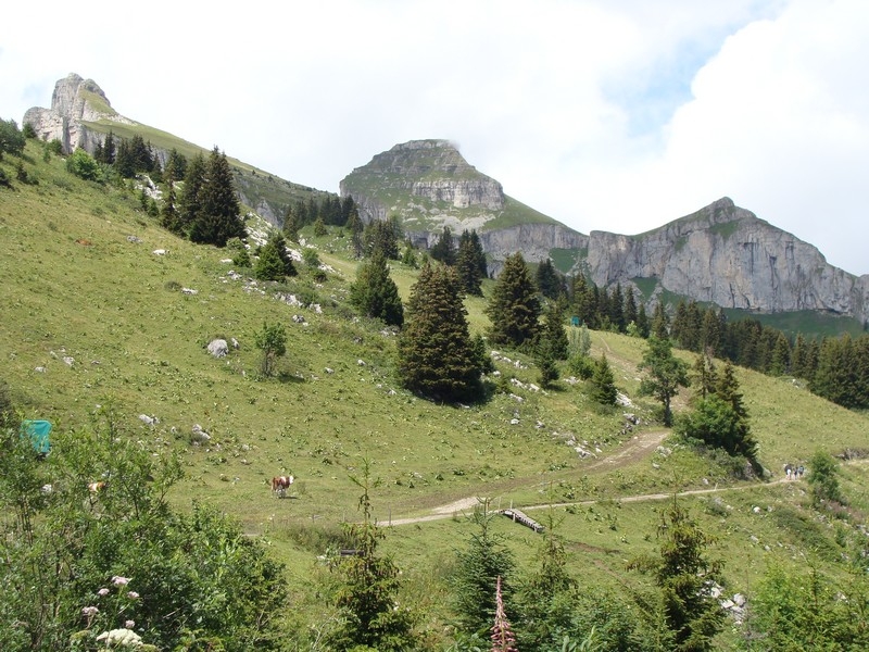 Village Camps International Summer Camp LTC, Leysin 2024-07-22 https://www.villagecamps.com/journals_admin/images/322-5-DSC02235.jpg