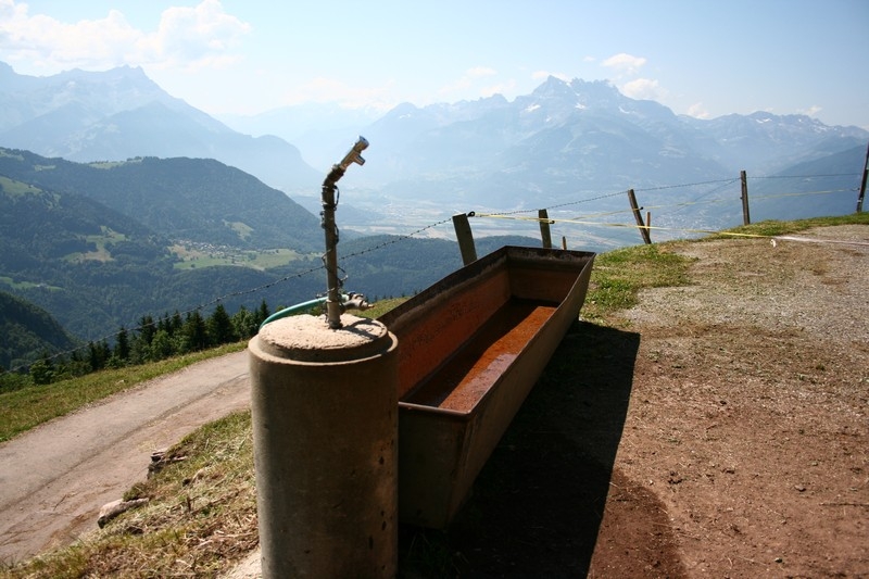 Village Camps International Summer Camp LTC, Leysin 2024-07-22 https://www.villagecamps.com/journals_admin/images/480-5-IMG_8910.jpg Village Camps International Summer Camp LTC, Leysin 2024-07-22 https://www.villagecamps.com/journals_admin/images/480-5-IMG_8910.jpg