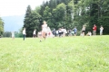 Village Camps International Summer Camp LTC, Leysin 2013-07-17