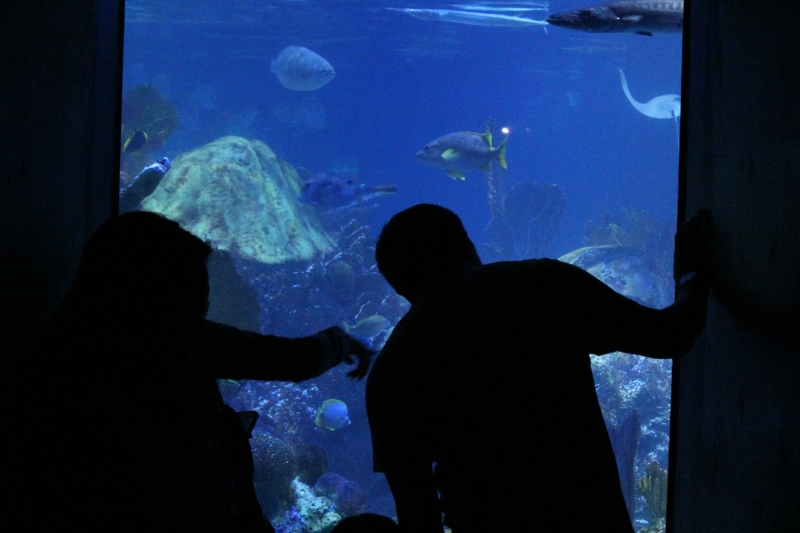 Village Camps International Summer Camp Boston, USA 2015-08-01 https://www.villagecamps.com/journals_admin/images/1113-10-@20e.jpg