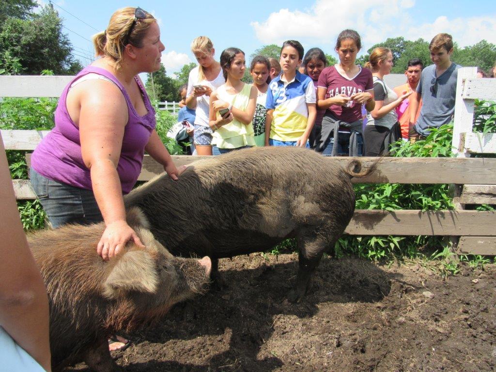 Village Camps International Summer Camp Boston, USA 2015-08-01 https://www.villagecamps.com/journals_admin/images/1426-3505-IMG_1421.jpg