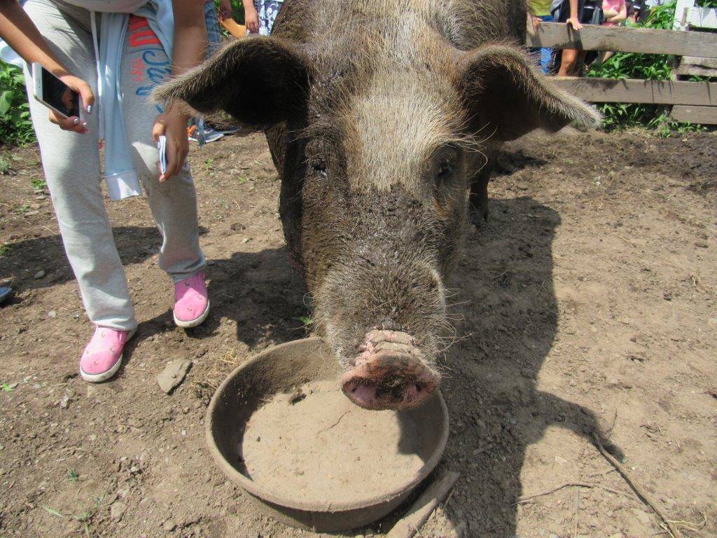 Village Camps International Summer Camp Boston, USA 2015-08-01 https://www.villagecamps.com/journals_admin/images/1426-3507-IMG_1422.jpg