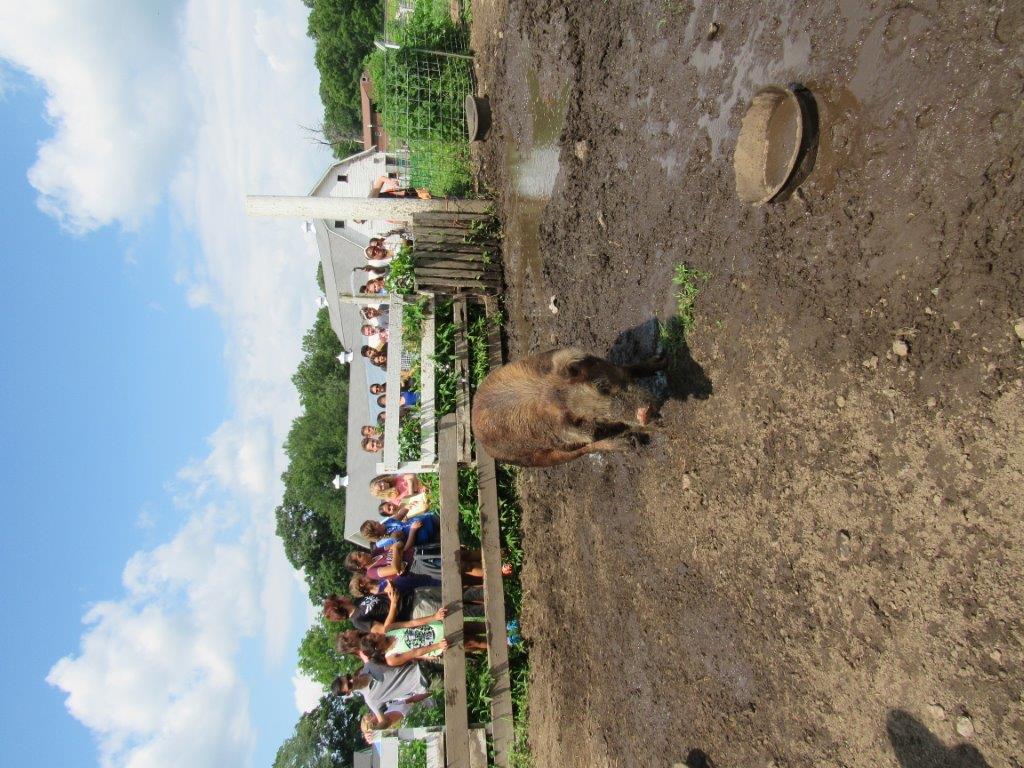 Village Camps International Summer Camp Boston, USA 2015-08-01 https://www.villagecamps.com/journals_admin/images/1426-3508-IMG_1423.jpg Village Camps International Summer Camp Boston, USA 2015-08-01 https://www.villagecamps.com/journals_admin/images/1426-3508-IMG_1423.jpg