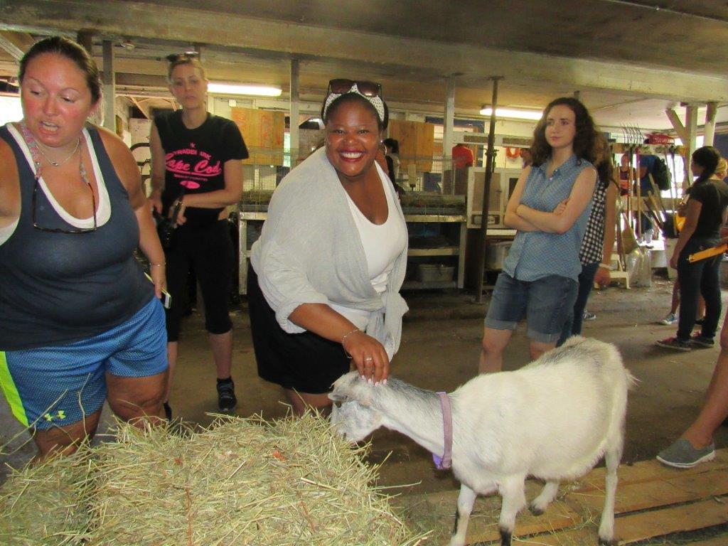 Village Camps International Summer Camp Boston, USA 2015-08-01 https://www.villagecamps.com/journals_admin/images/1426-3510-IMG_1441.jpg